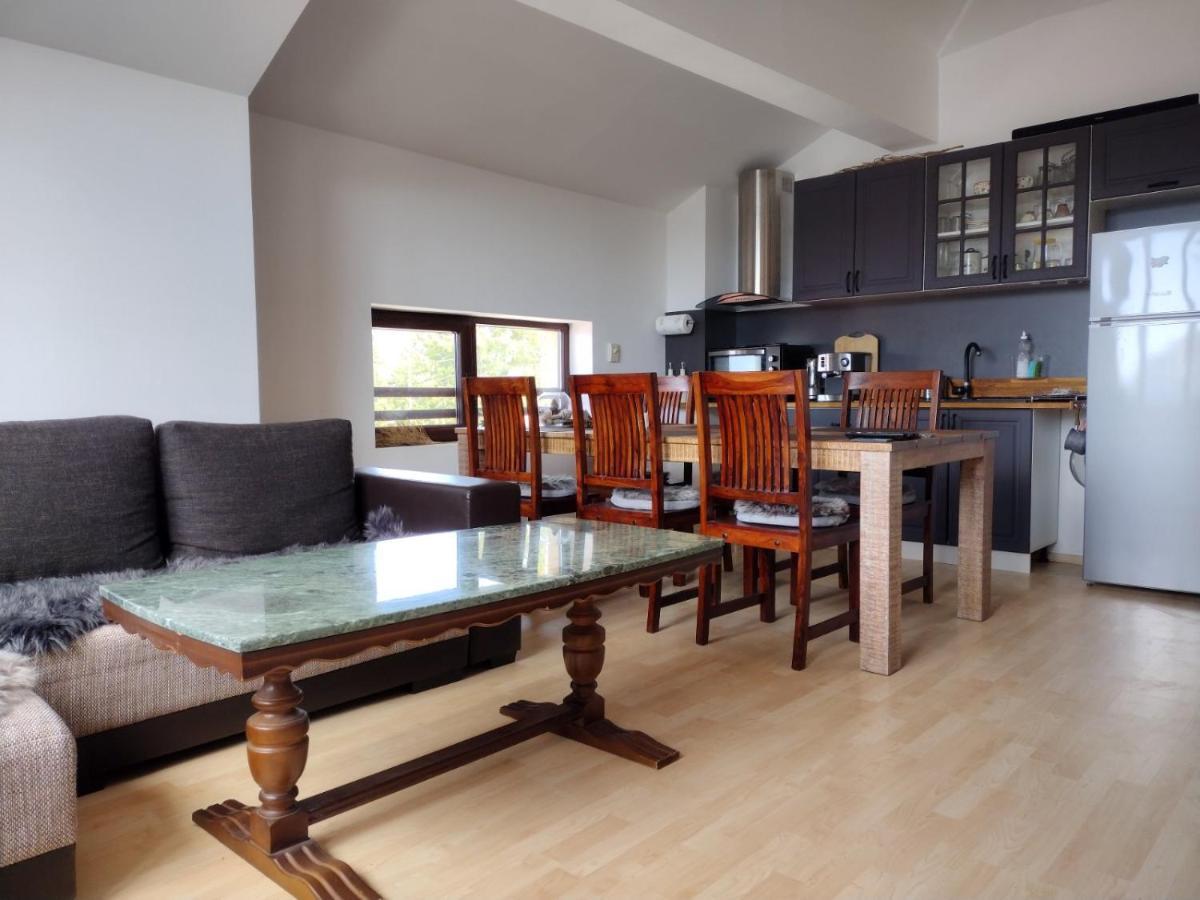 Apartment Pearl Xl
